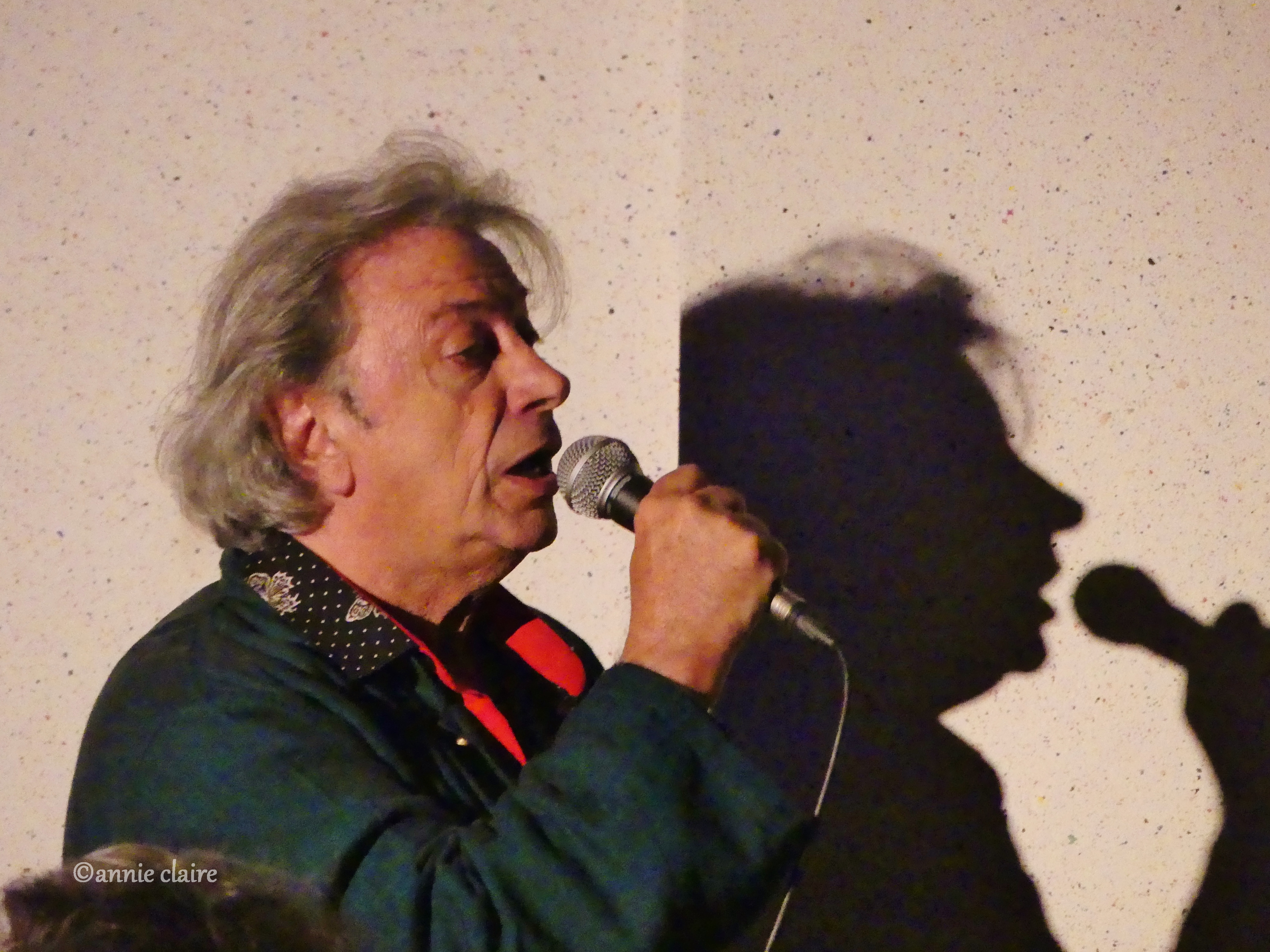 Hervé Vilard au Festival de Concèze ©annie claire 